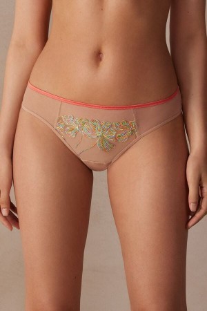 Intimissimi Candy Colors Panties Flerfarvede | DKJKU16877