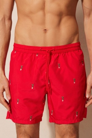 Intimissimi Embroidered Cactus Swim Trunks Print | DDKVO52485