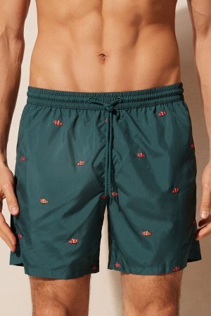 Intimissimi Embroidered Clownfish Swim Trunks Grøn | FDKHY16216