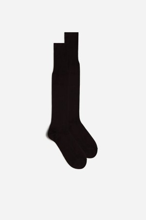 Intimissimi Høje Sateen Egyptian Bomulds Socks Brune | DKZDE39393