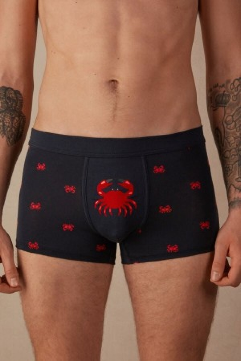 Intimissimi Crab Boxers in Natural Fresh Supima® Bomulds Blå | SDKNY43671