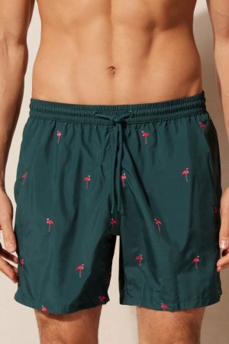 Intimissimi Embroidered Flamingo Swim Trunks Grøn | UDKND35173