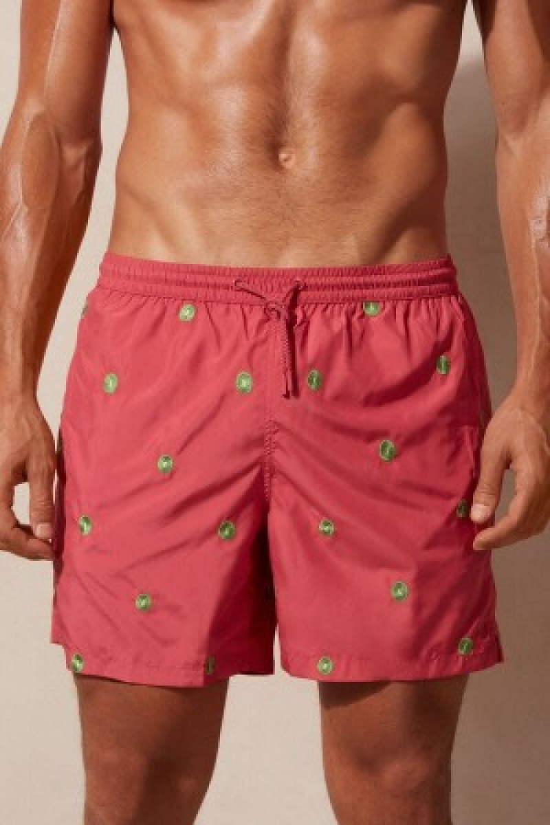 Intimissimi Embroidered Kiwi Swim Trunks Rød | YDKGT89033