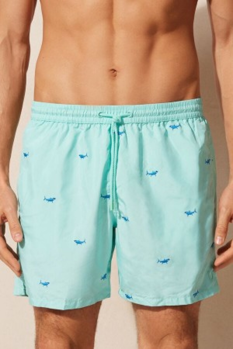 Intimissimi Embroidered Shark Swim Trunks Print | GDKUC27168