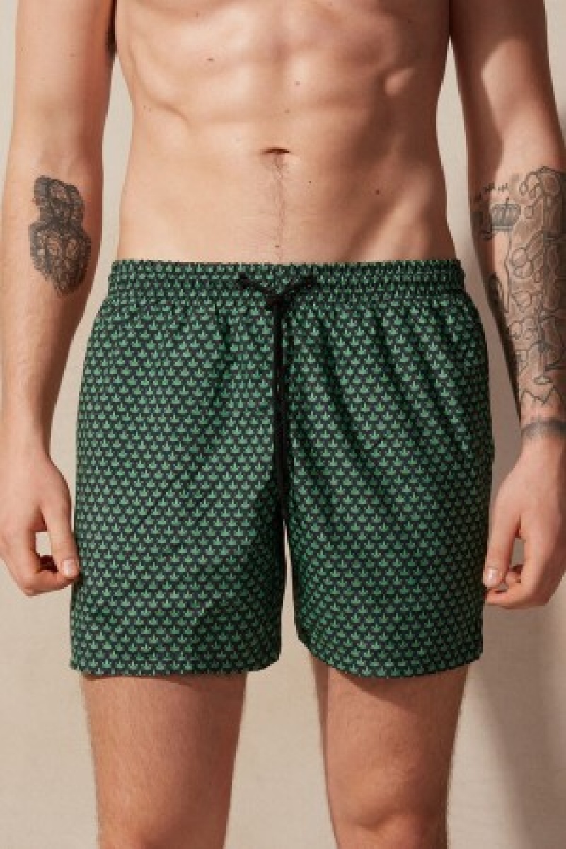 Intimissimi Micro Leaf Print Swim Trunks Grøn | LDKSX46979