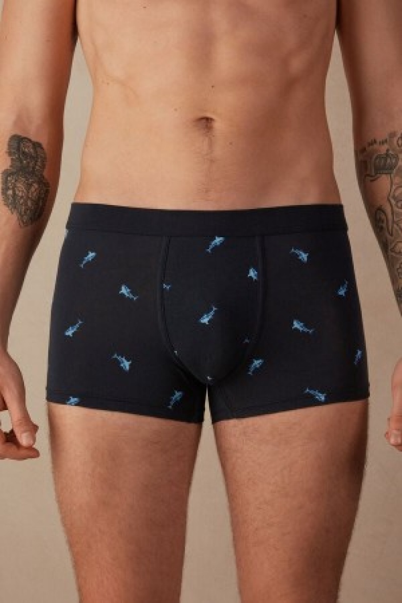 Intimissimi Shark Boxers in Natural Fresh Supima® Bomulds Blå | XDKBH80590