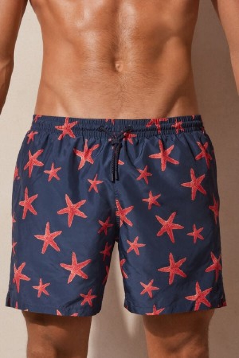 Intimissimi Starfish Print Swim Trunks Blå | DKQAV69530